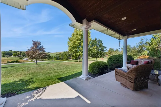 a view of a patio with couches plants and large trees