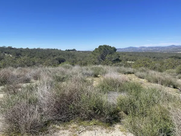 $197,500 | 0 Encina Verde, Unit 2, Boulevard, CA 91905