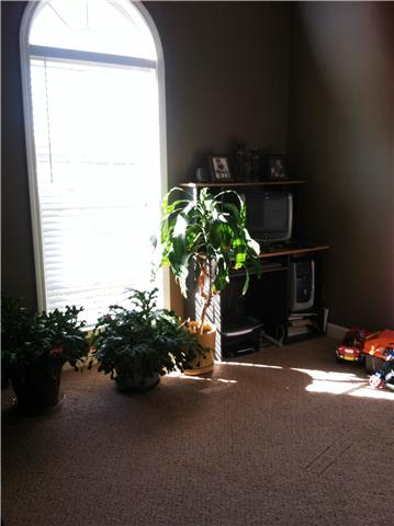 455 Clearview Road Cottontown, TN 37048 - Photo 7 of 20 Bedroom with nice architectural details is being used as office/child's play room right now.