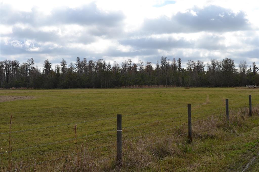 0 Moore Road Lakeland, FL 33809 - Photo 11 of 23