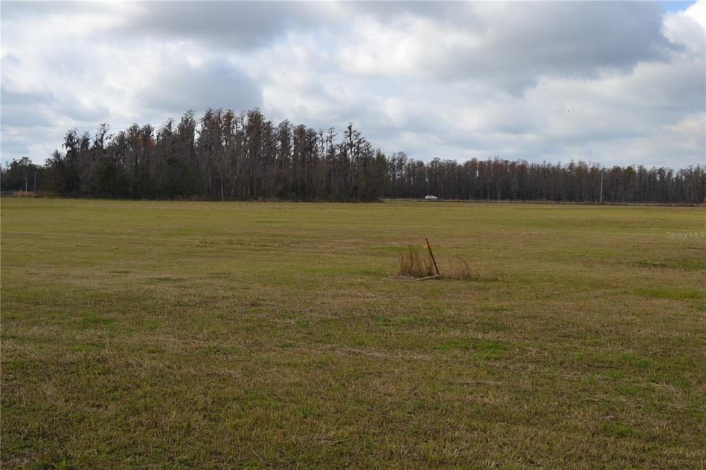 0 Moore Road Lakeland, FL 33809 - Photo 15 of 23 a view of a lake with houses in the back