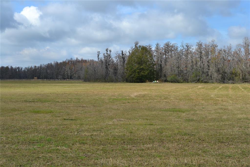 0 Moore Road Lakeland, FL 33809 - Photo 16 of 23 a view of a field with an ocean view