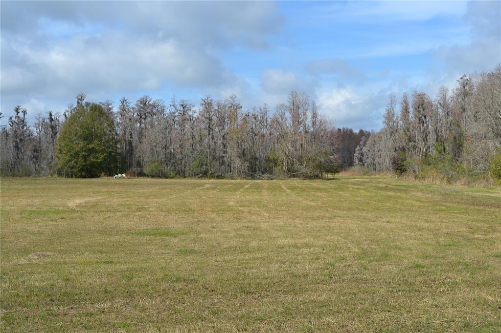 0 Moore Road Lakeland, FL 33809 - Photo 17 of 23 a view of a field with trees in background