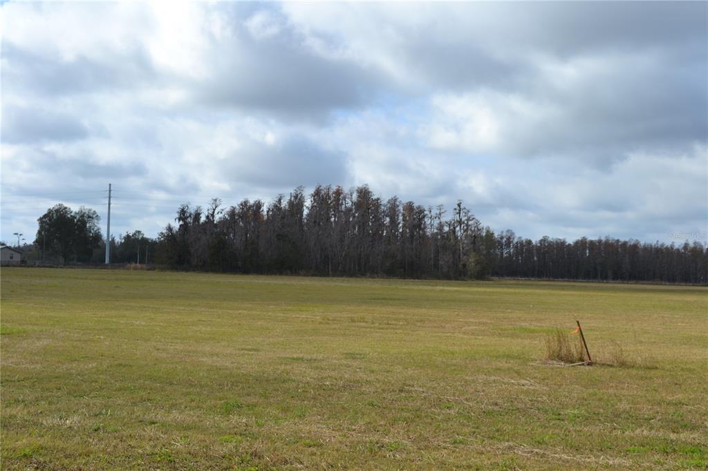 0 Moore Road Lakeland, FL 33809 - Photo 18 of 23 a view of an ocean