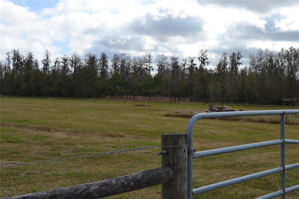 0 Moore Road Lakeland, FL 33809 - Photo 20 of 23 a view of a lake from a yard
