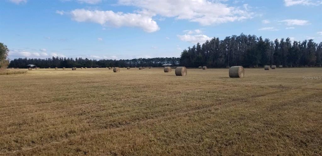 0 Moore Road Lakeland, FL 33809 - Photo 23 of 23