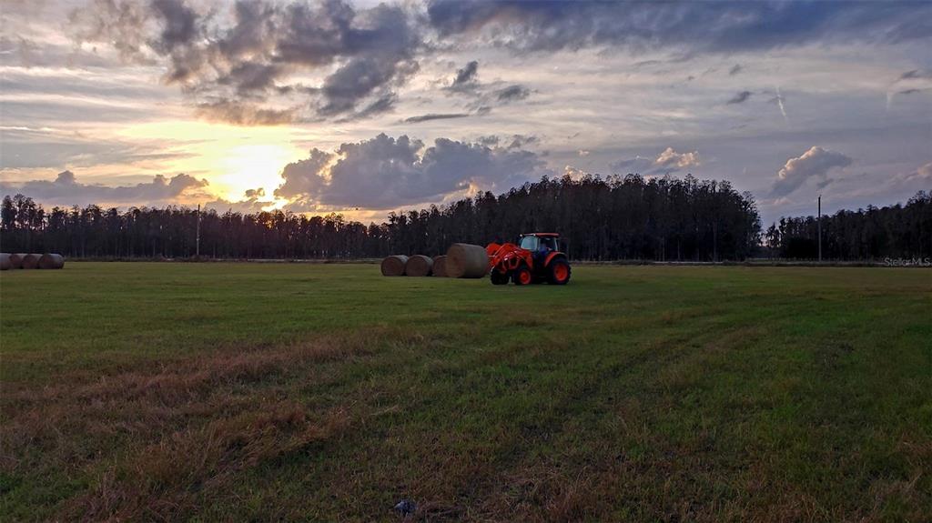 0 Moore Road Lakeland, FL 33809 - Photo 4 of 23 a view of an outdoor space and yard