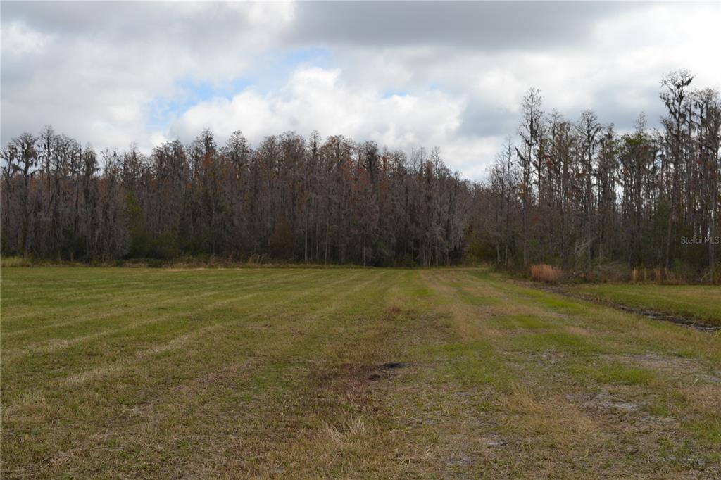0 Moore Road Lakeland, FL 33809 - Photo 8 of 23 a view of basketball court