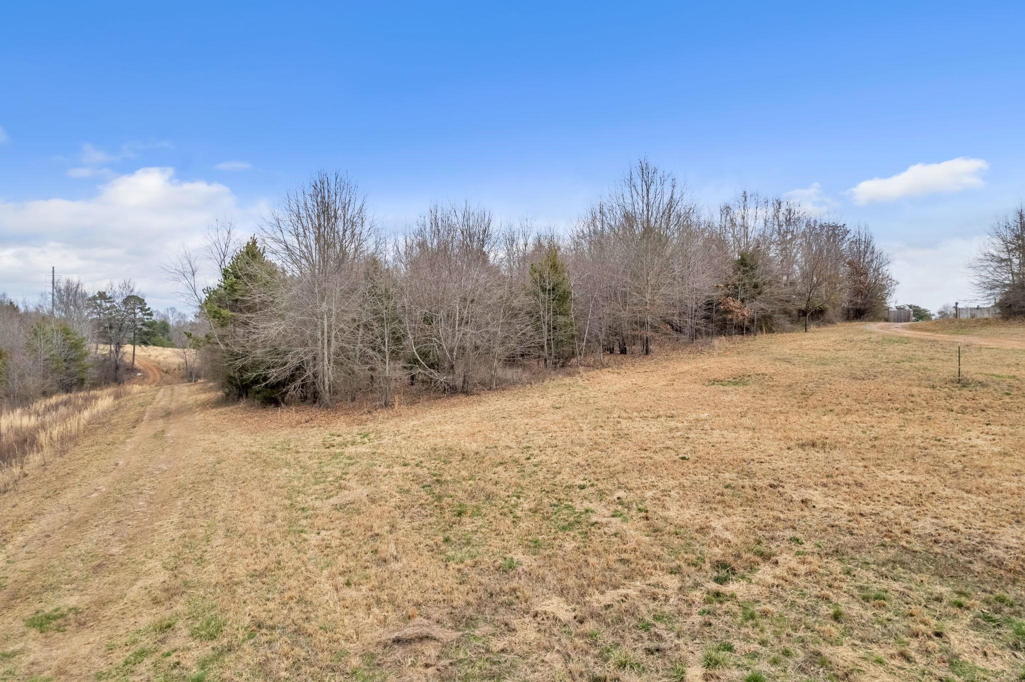197 Mc Dowell Road Chesnee, SC 29323 - Photo 4 of 15