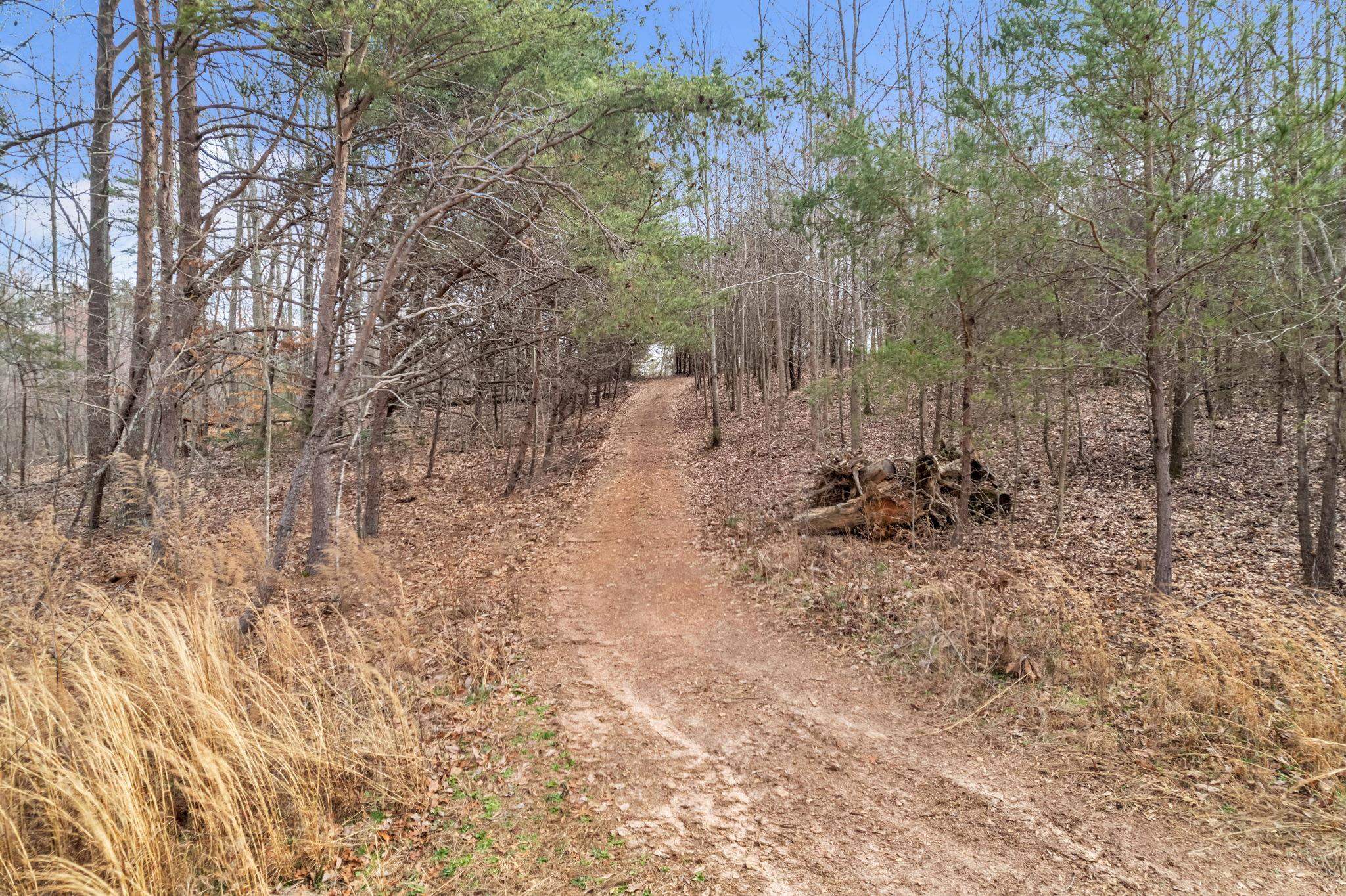 197 Mc Dowell Road Chesnee, SC 29323 - Photo 5 of 15