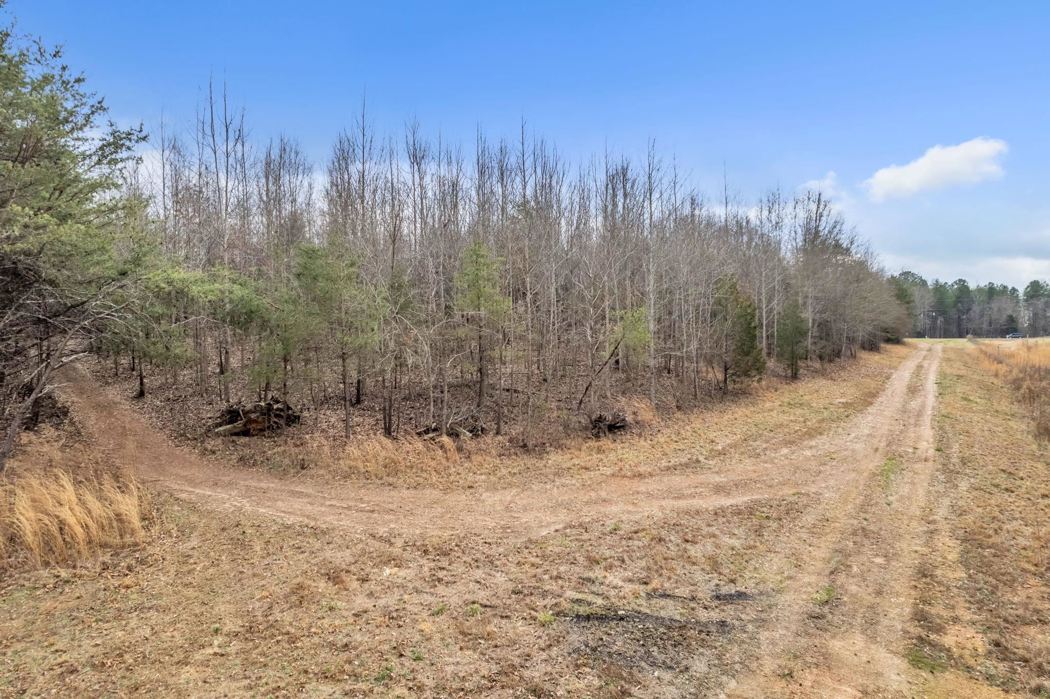 197 Mc Dowell Road Chesnee, SC 29323 - Photo 6 of 15