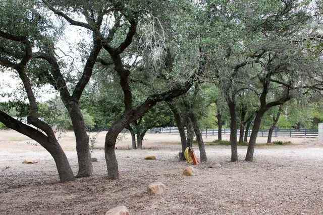 a view of outdoor space with yard