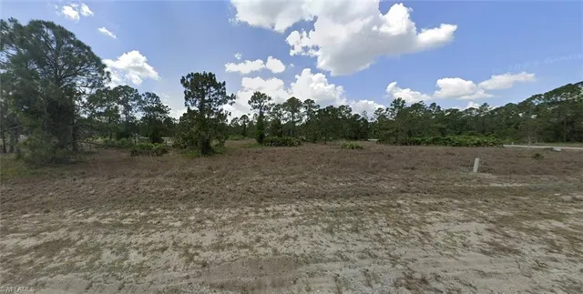a view of a field with trees