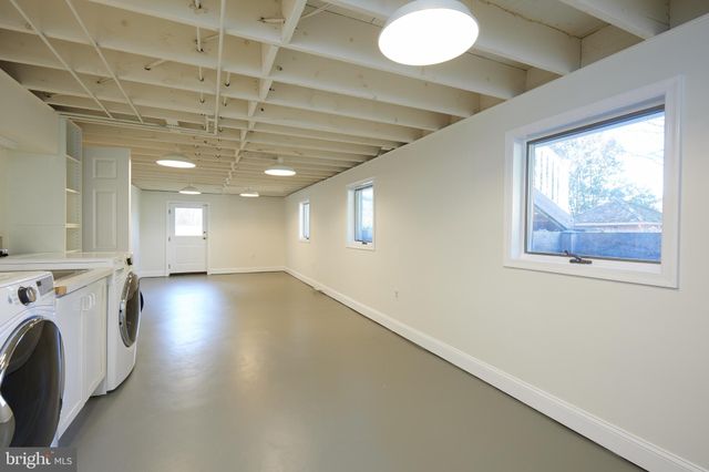 a view of a yard with plants and trees