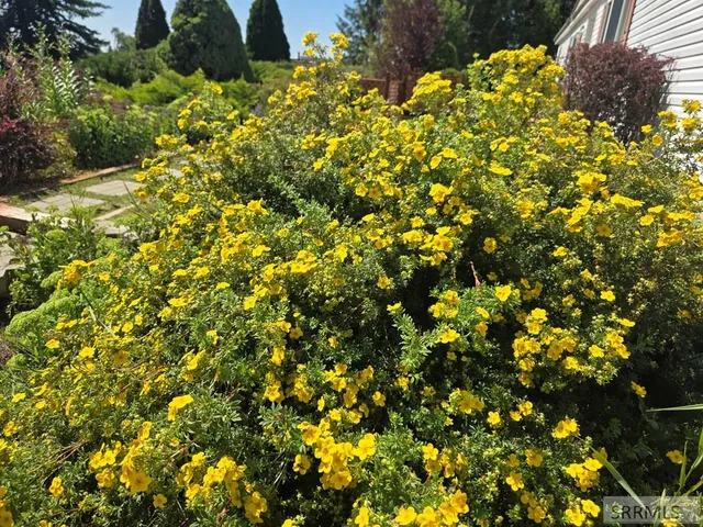 $405,000 | 371 North 1900 East, St. Anthony, ID 83445