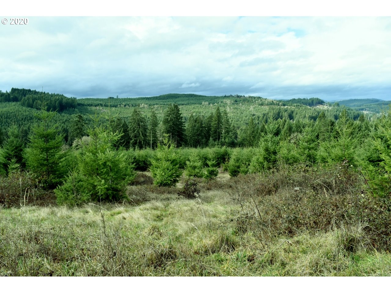 92317 Goldson Road Cheshire, OR 97419 - Photo 22 of 32 Gallery Image 22