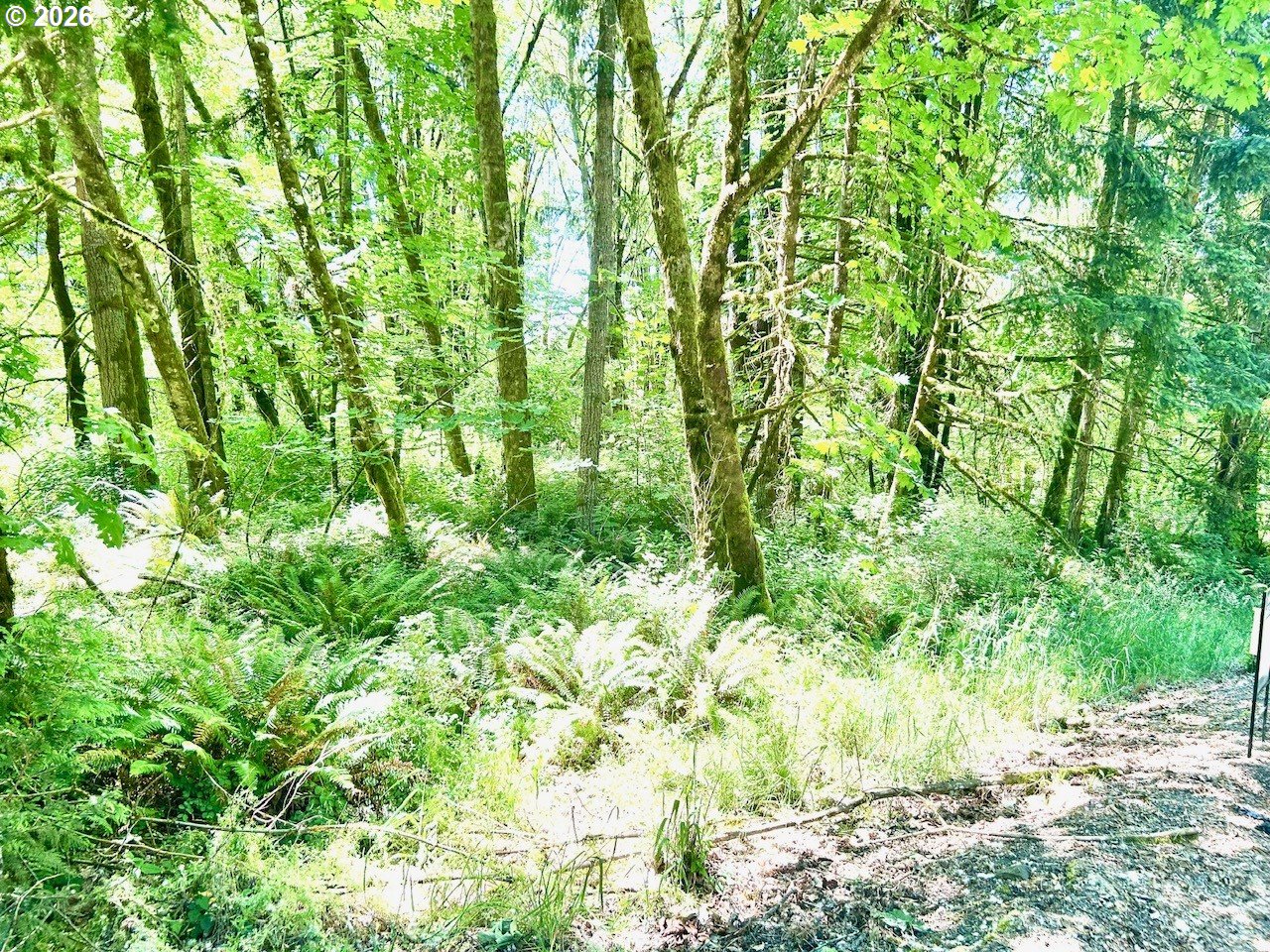 577 Martins Bluff Road Kalama, WA 98625 - Photo 10 of 13