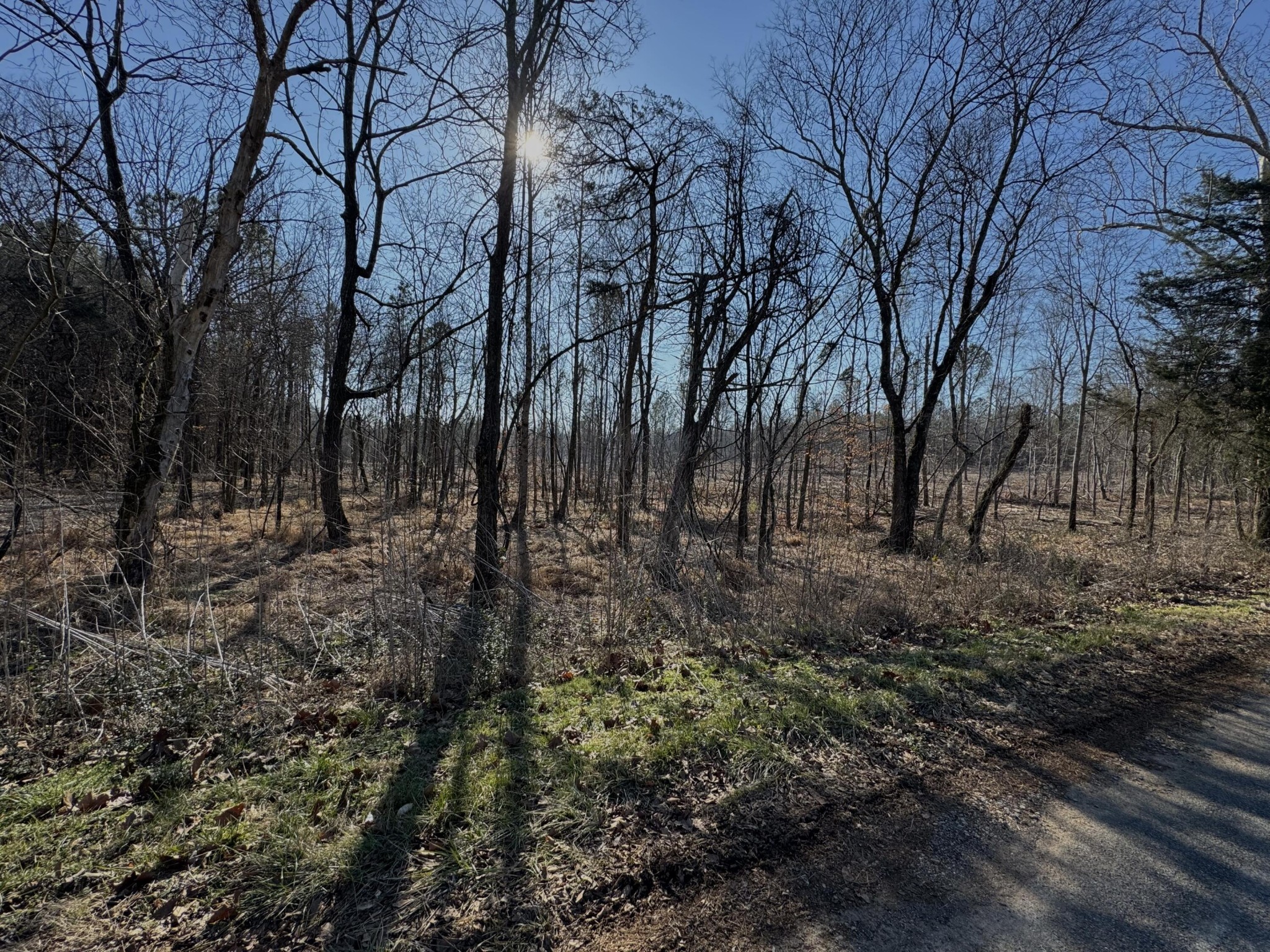 0 York Road Ocoee, TN 37361 - Photo 6 of 7