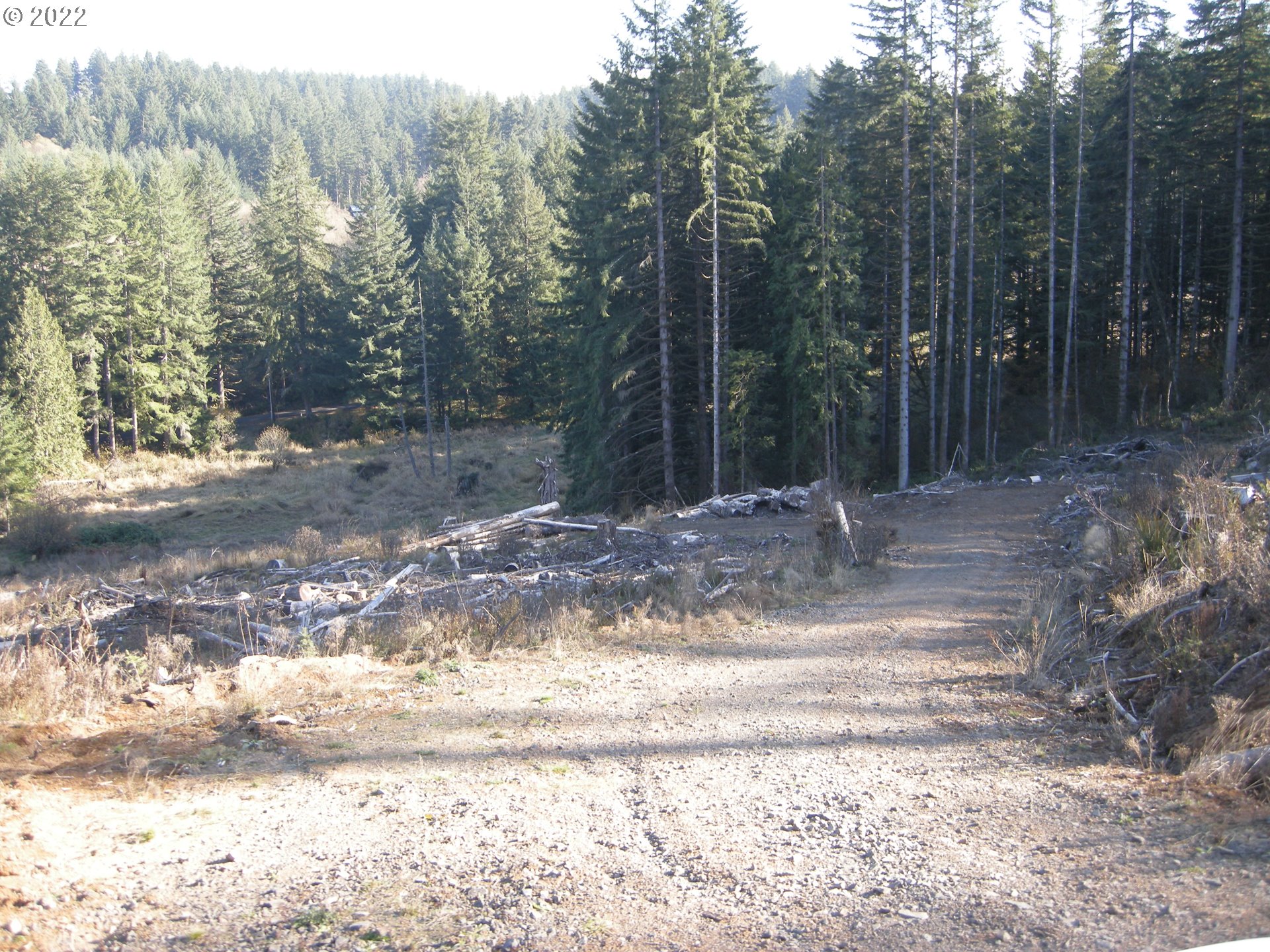 71725 Lentz Road Rainier, OR 97048 - Photo 12 of 30 Gallery Image 12