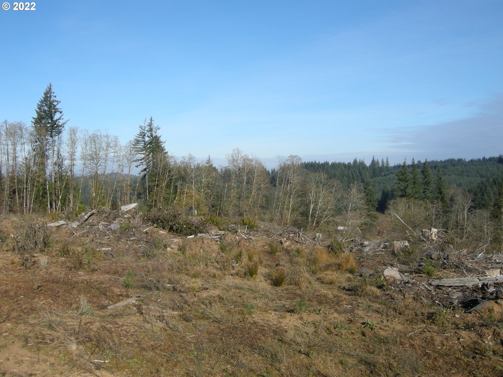 71725 Lentz Road Rainier, OR 97048 - Photo 17 of 30 Gallery Image 17