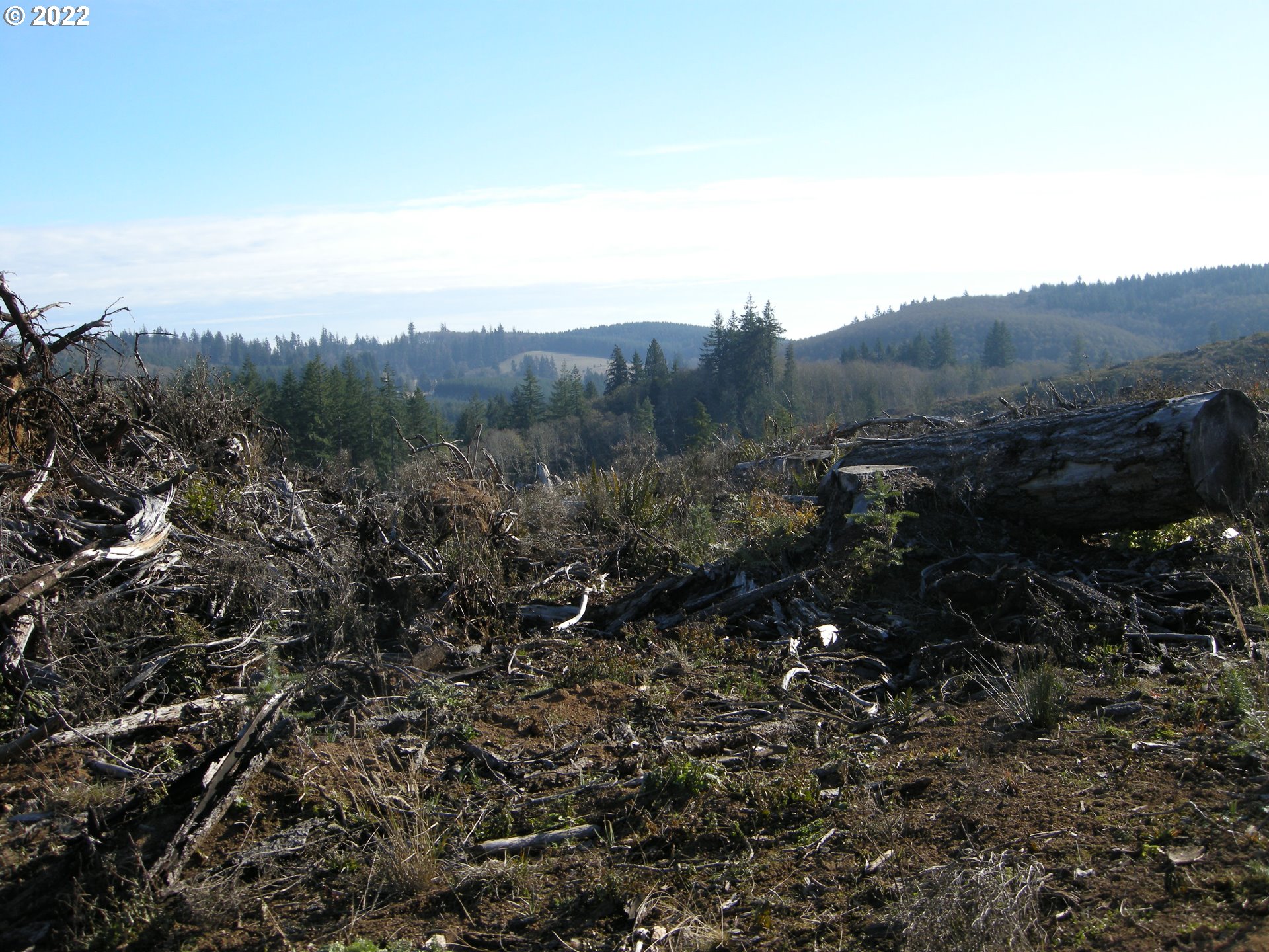 71725 Lentz Road Rainier, OR 97048 - Photo 23 of 30 Gallery Image 23