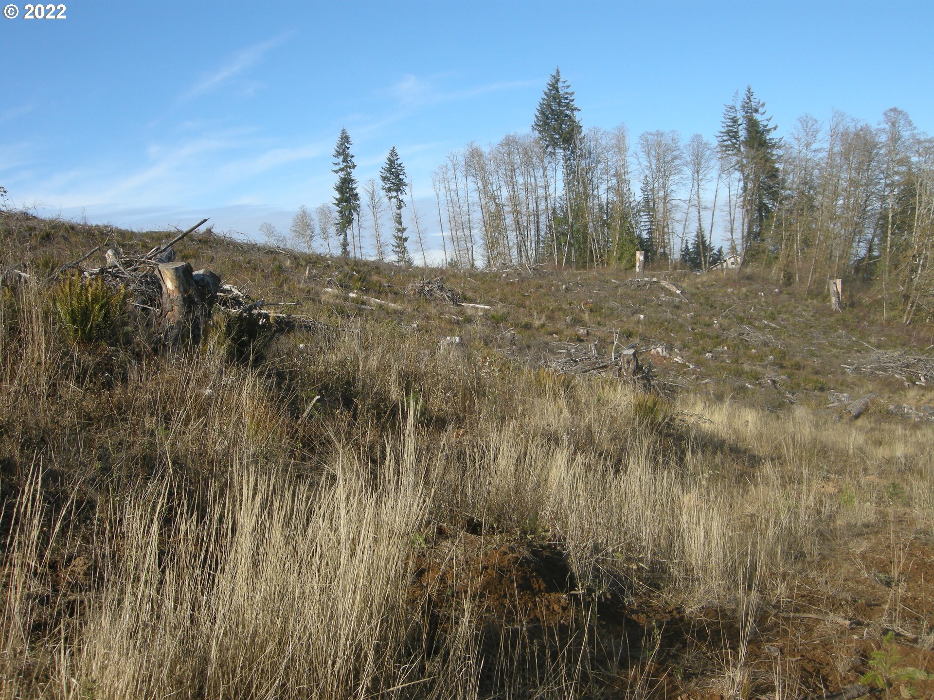 71725 Lentz Road Rainier, OR 97048 - Photo 28 of 30 Gallery Image 28