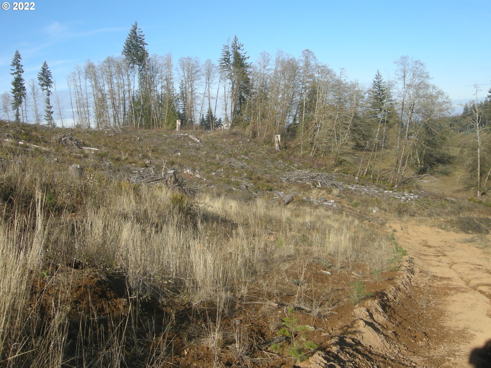 71725 Lentz Road Rainier, OR 97048 - Photo 29 of 30 Gallery Image 29