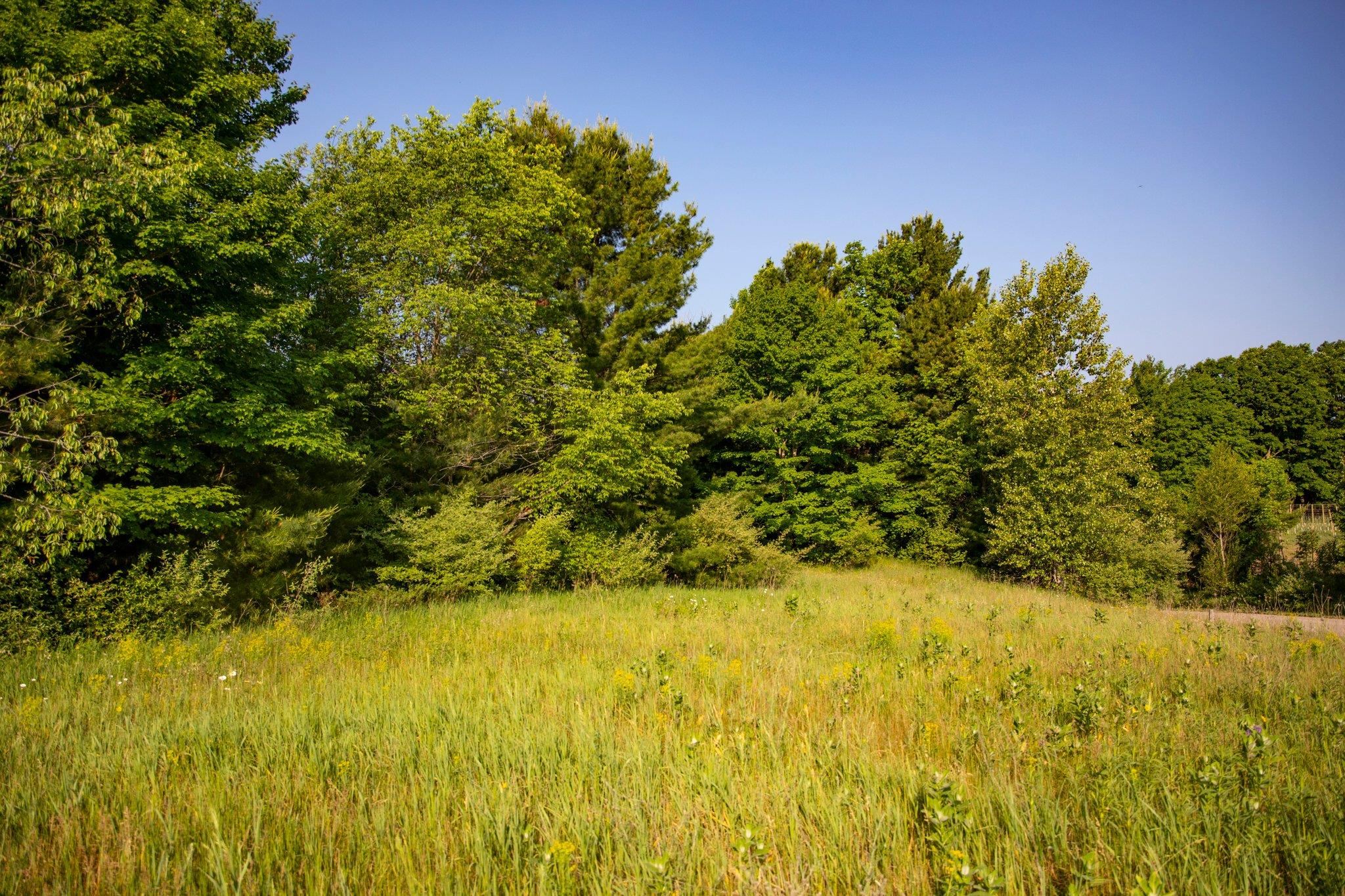 1260 Saunders Road Southeast Kalkaska, MI 49646 - Photo 5 of 5 Gallery Image 5