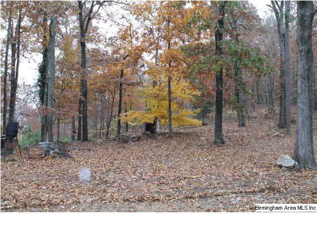2649 Rabbit Branch Road Cropwell, AL 35054 - Photo 26 of 27