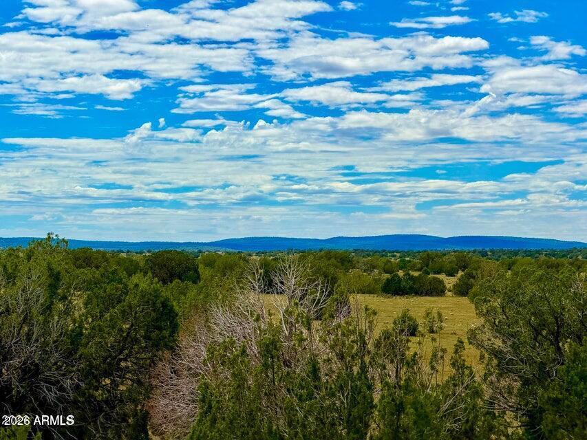 0 Dusty Rose Ranch Seligman, AZ 86337 - Photo 12 of 20 20260914065713835587000000-o