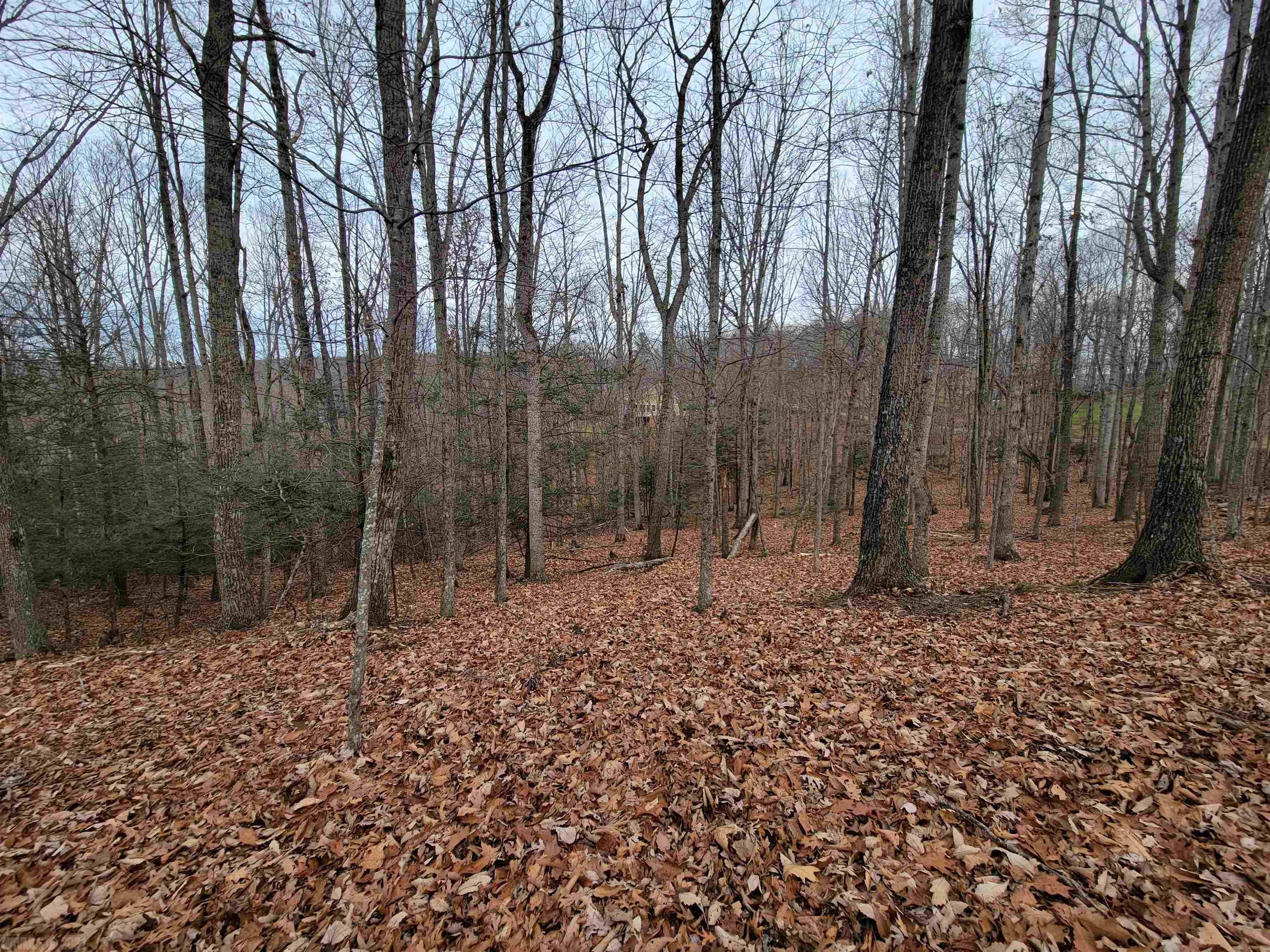 1051 Treetop Ridge Road Blacksburg, VA 24060 - Photo 10 of 10 Gallery Image 10