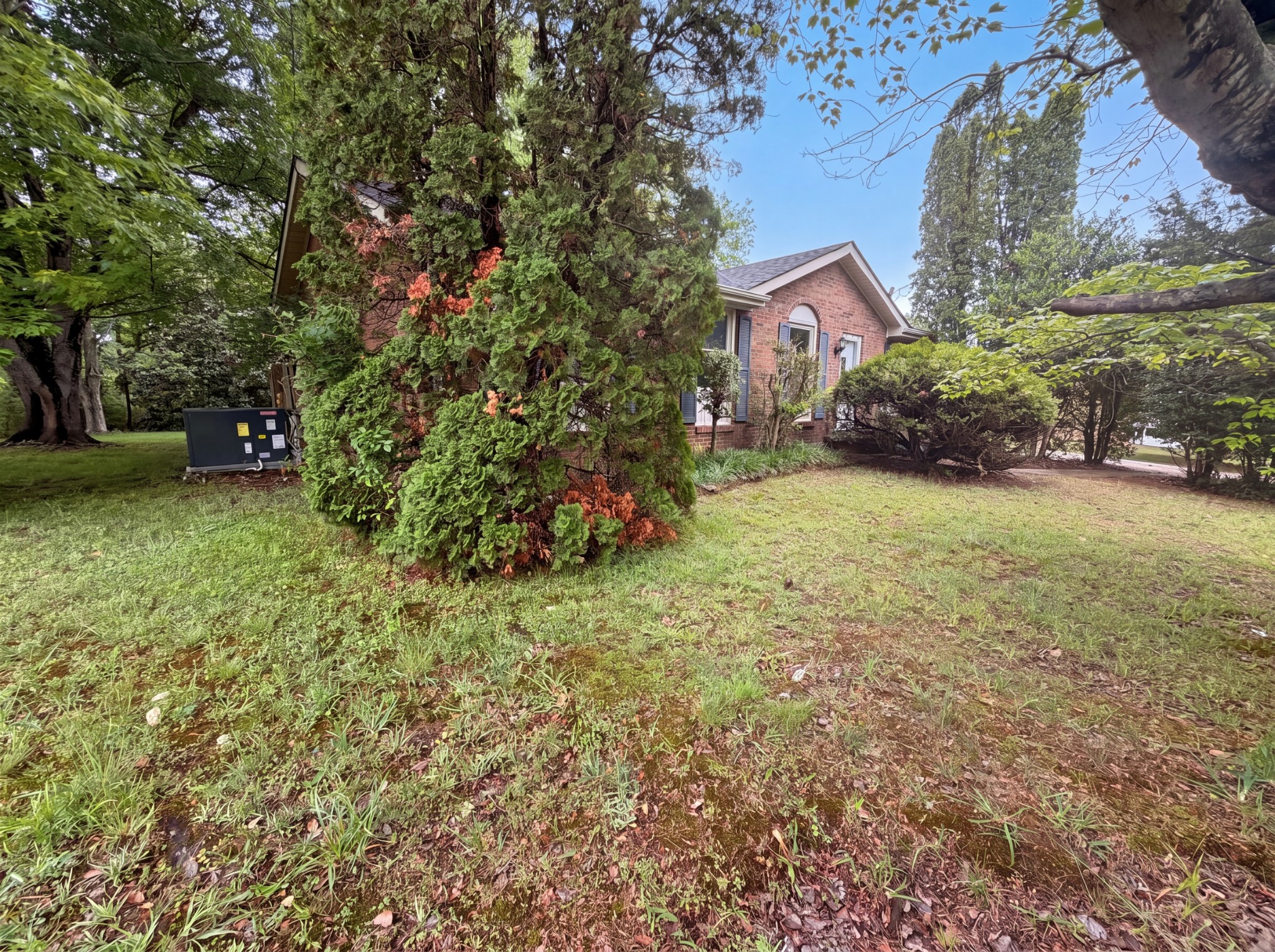 587 Lafayette Road Clarksville, TN 37042 - Photo 17 of 20