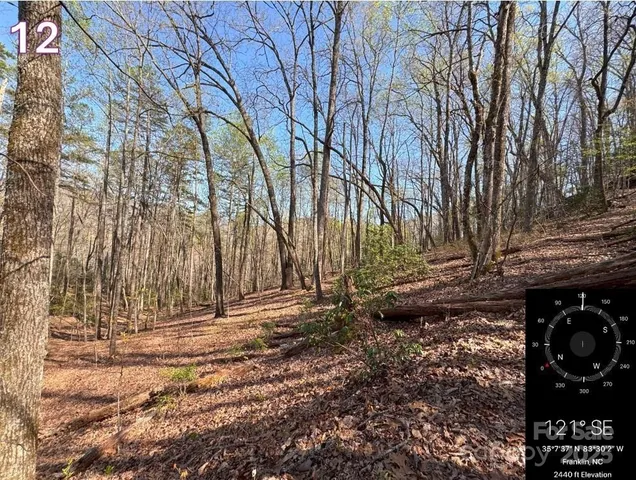 a view of a backyard of the house