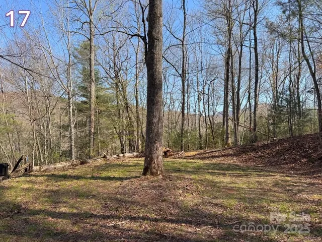 a view of a lake with houses in outdoor space