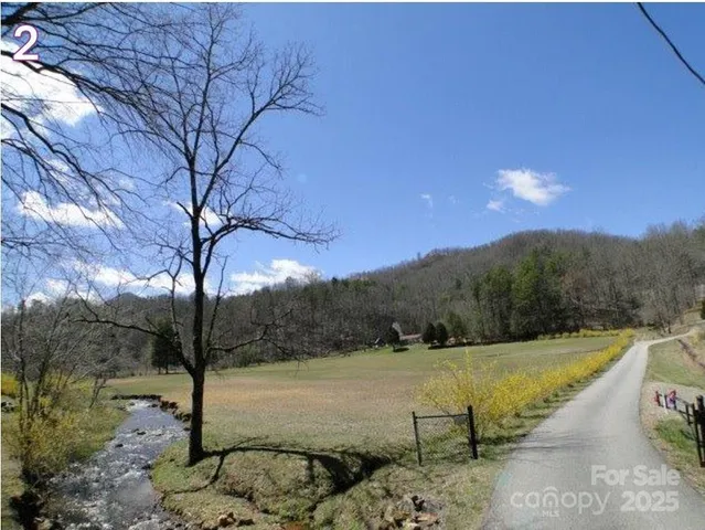 a view of a yard with a tree