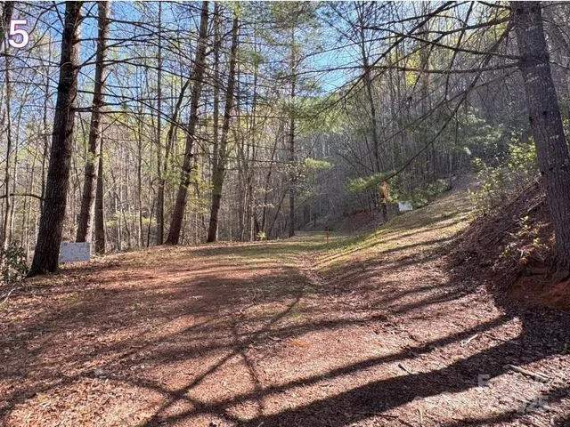 a view of a backyard of the house