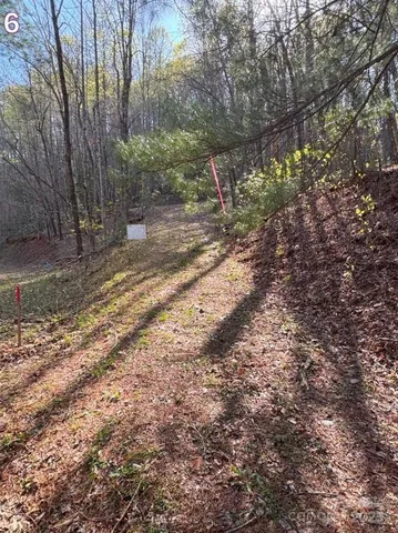 a view of a yard with plants and trees
