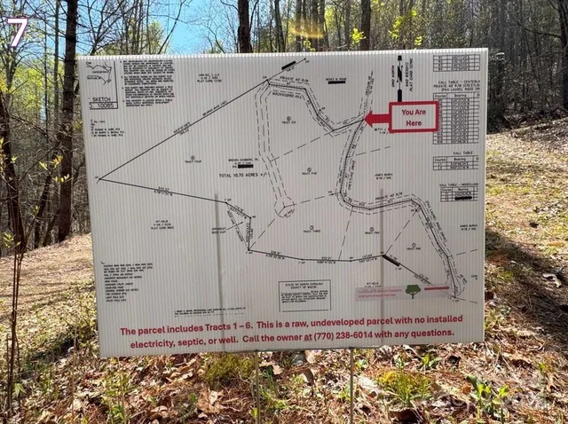 a view of a backyard with trees