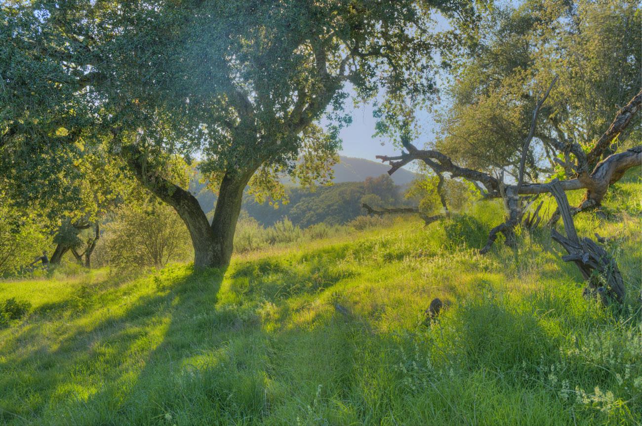 20540 Parrott Ranch Road Carmel Valley, CA 93924 - Photo 1 of 12 Gallery Image 1