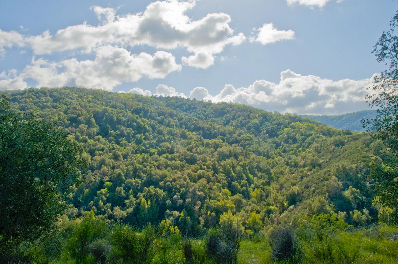 20540 Parrott Ranch Road Carmel Valley, CA 93924 - Photo 11 of 12 Gallery Image 11