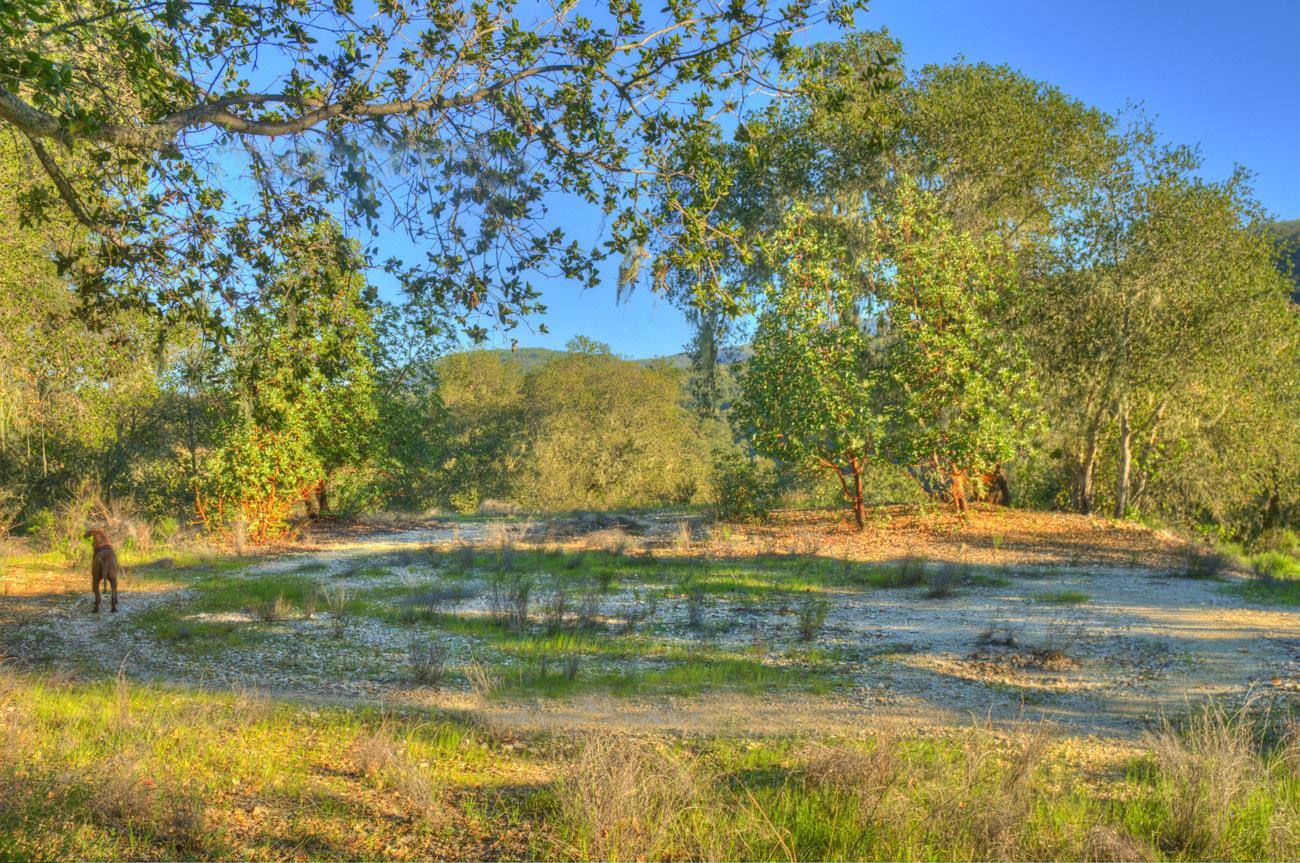 20540 Parrott Ranch Road Carmel Valley, CA 93924 - Photo 6 of 12 Gallery Image 6
