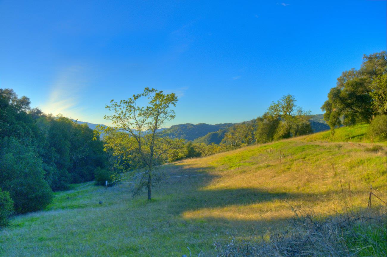 20540 Parrott Ranch Road Carmel Valley, CA 93924 - Photo 7 of 12 Gallery Image 7