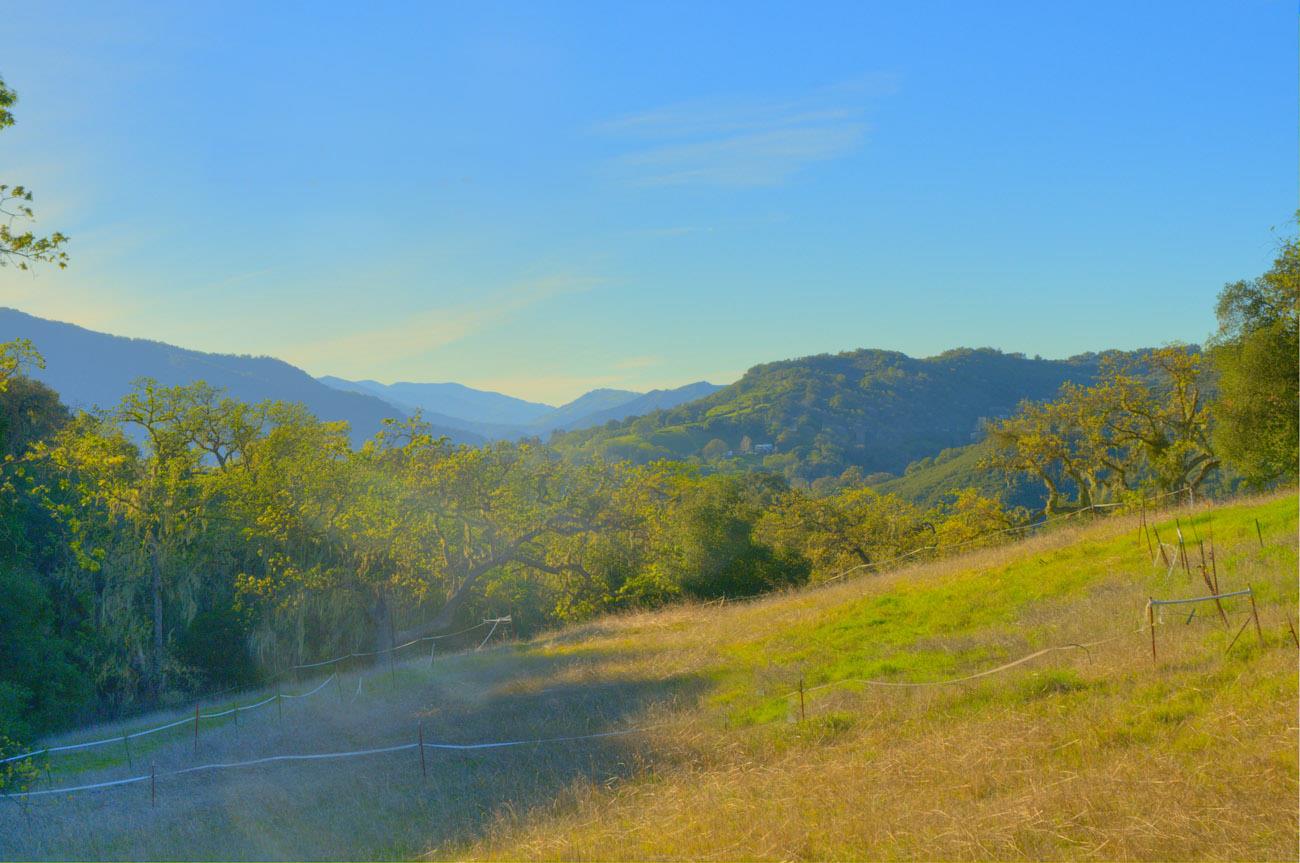 20540 Parrott Ranch Road Carmel Valley, CA 93924 - Photo 8 of 12 Gallery Image 8