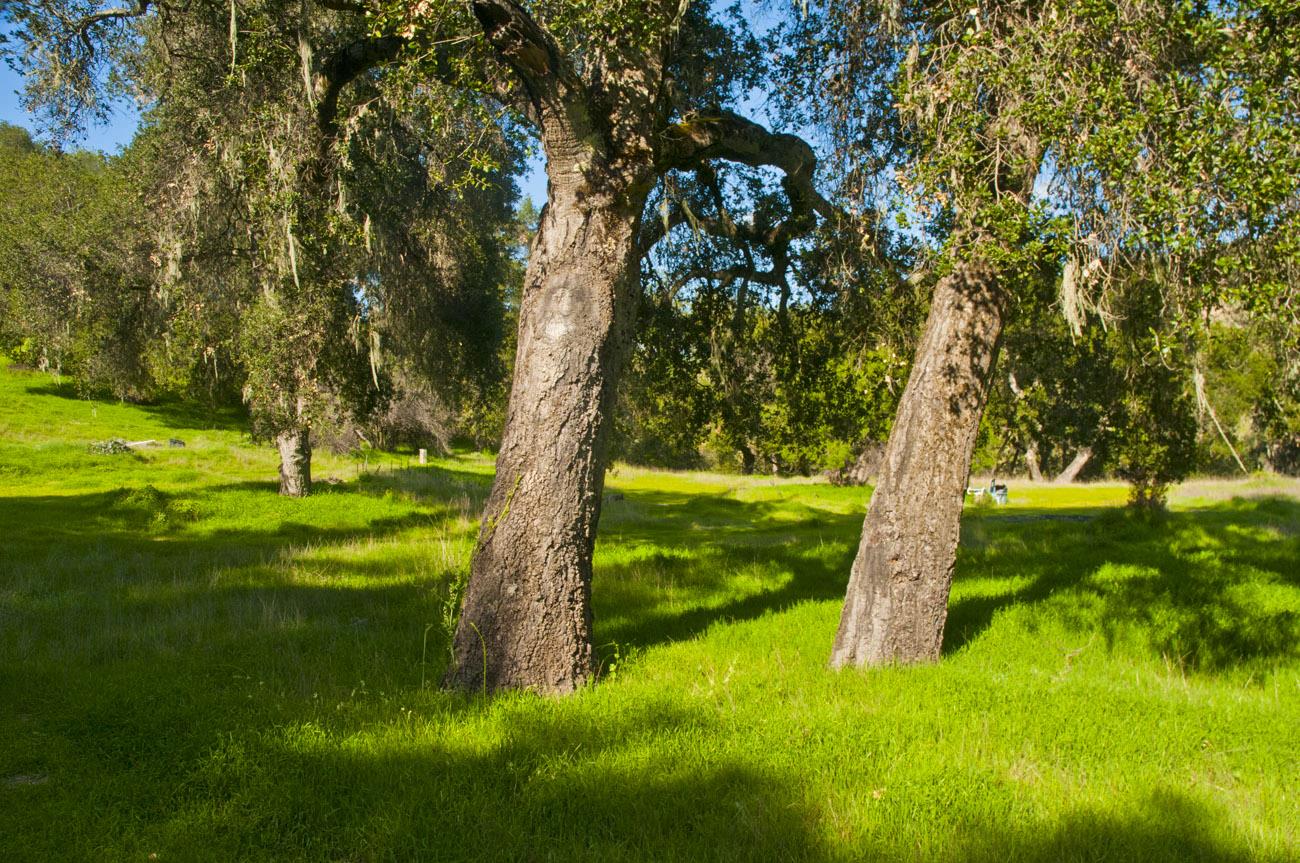 20540 Parrott Ranch Road Carmel Valley, CA 93924 - Photo 10 of 12 Gallery Image 10