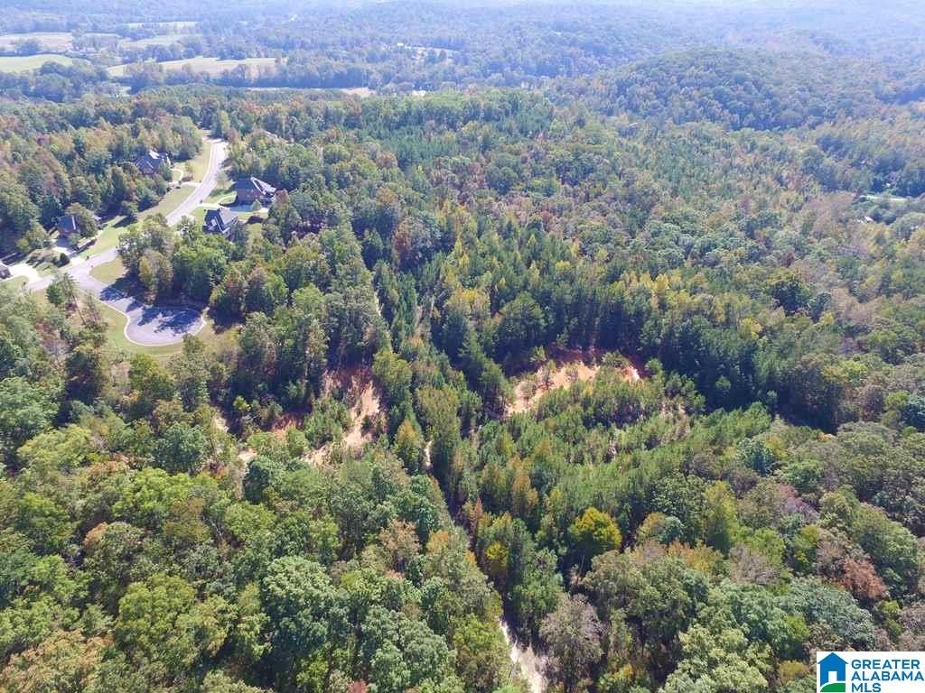 Miracle Hills Road, Unit 100 Springville, AL 35146 - Photo 7 of 29