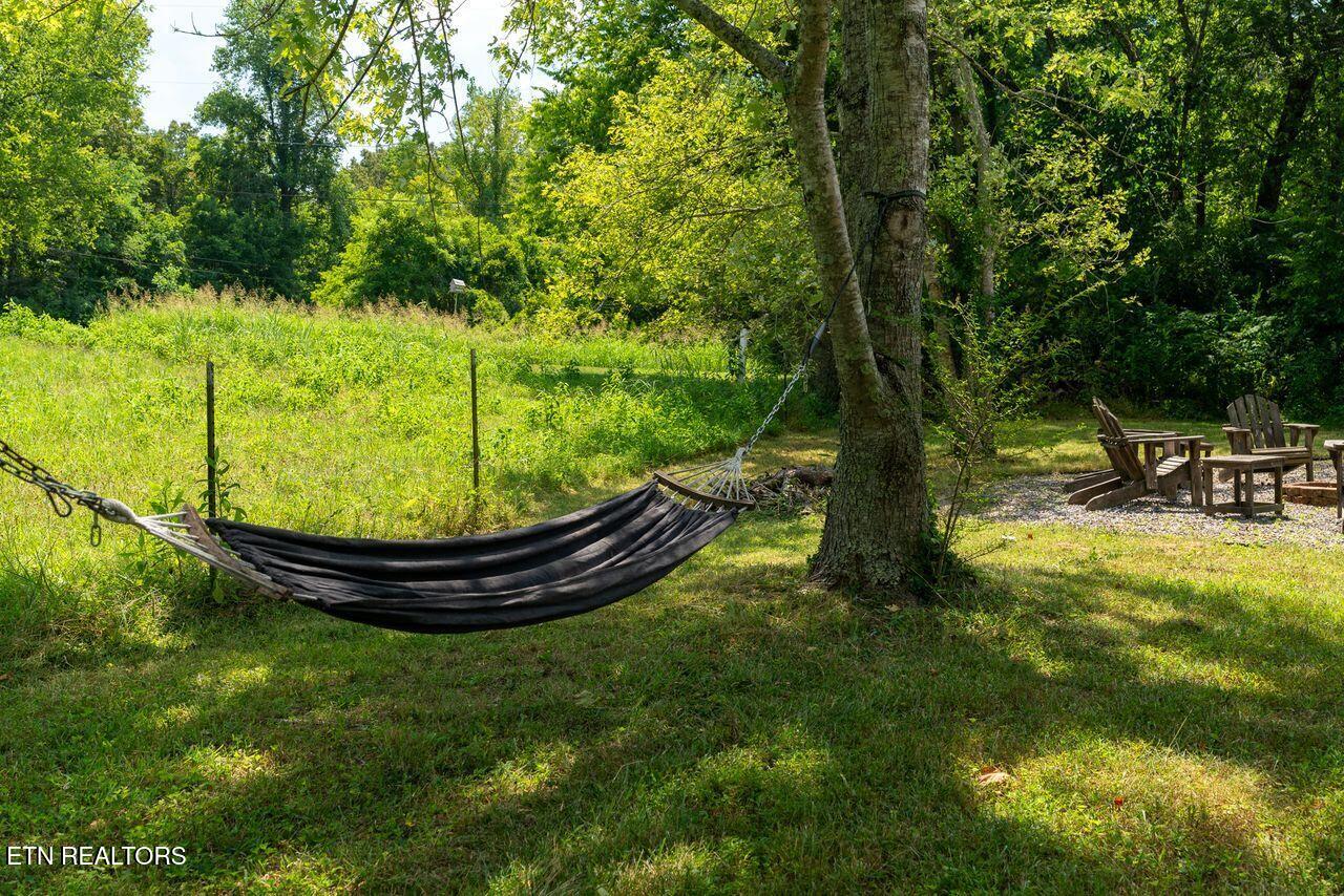 602 West Ford Valley Road Knoxville, TN 37920 - Photo 24 of 26 Hammock