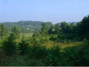 3764 Cherokee Road Jonesborough, TN 37659 - Photo 4 of 5 Photo 4