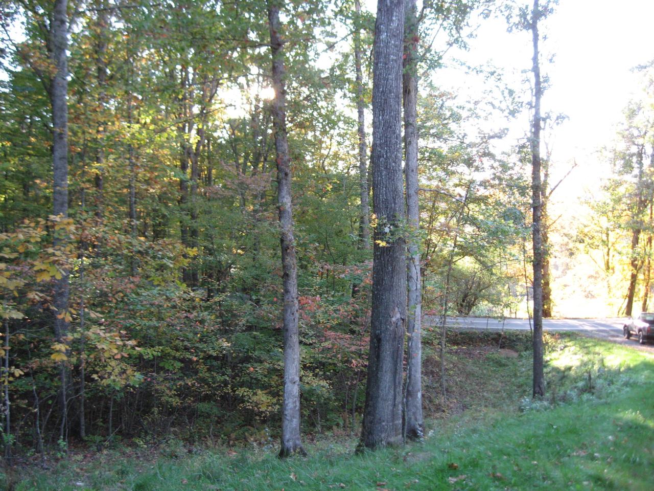 9 Sinking Creek Road Crawley, WV 24931 - Photo 6 of 6 view 5
