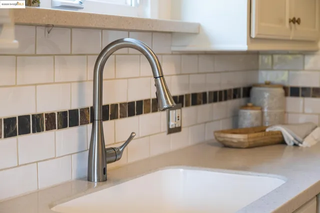 a close view of a sink and a potted plant