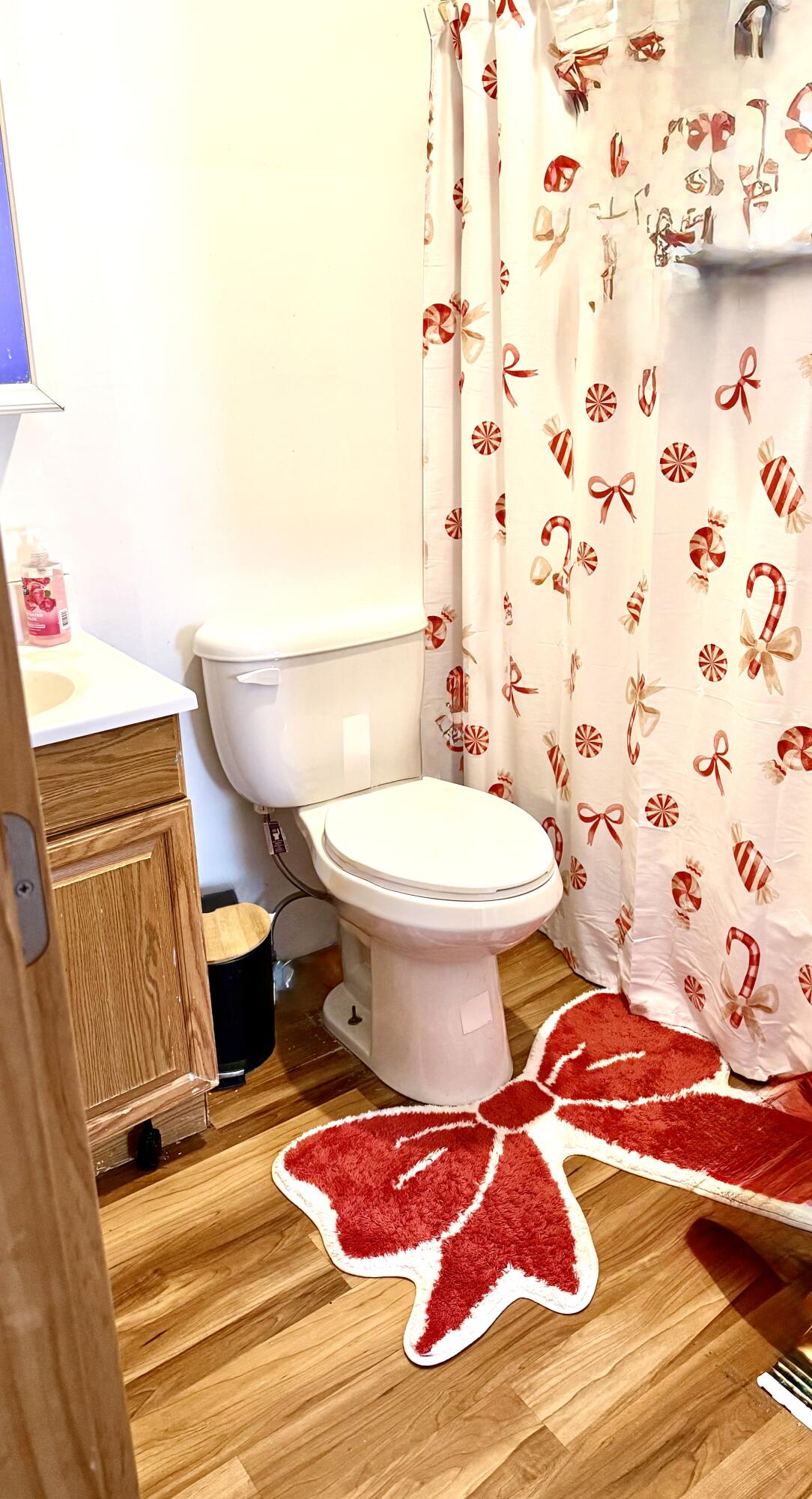 720 Ray Street Kalamazoo, MI 49048 - Photo 12 of 20 IMG_3251